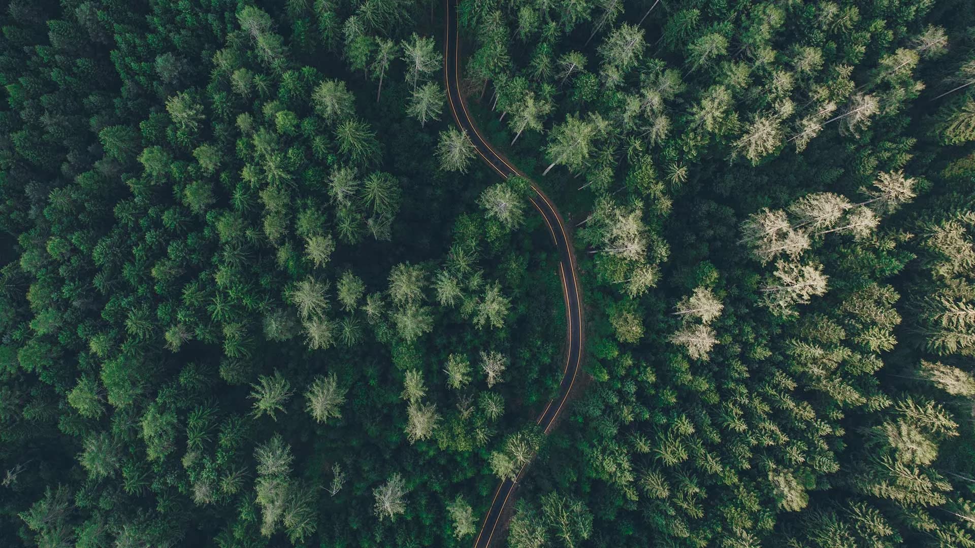 Schweizer Landschaft